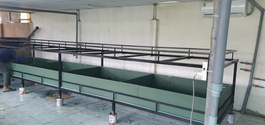 tấm nhựa ECO giá rẻ