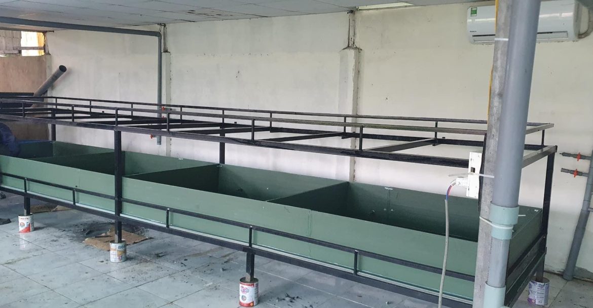 tấm nhựa ECO giá rẻ