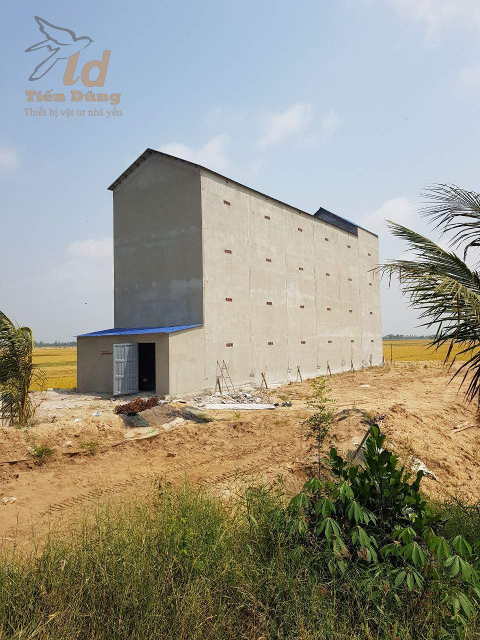Làm sàn nhà yến từ tấm nhựa eco